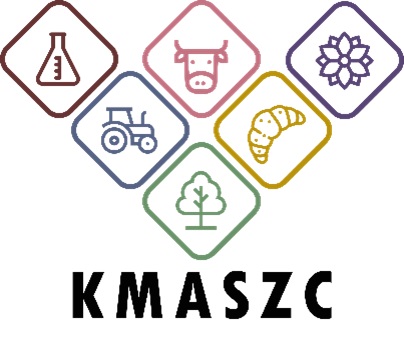 Europass mobilitási igazolvány átadó és 10 éves dán-magyar együttműködés ünneplése - 2025-06-13